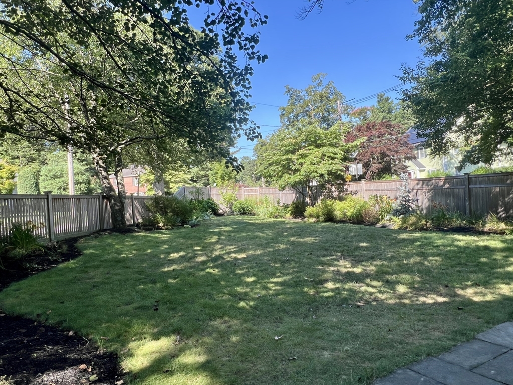 211 Forest Street Winchester, MA 01890 - Photo 37 of 41 a view of a backyard with large trees and plants