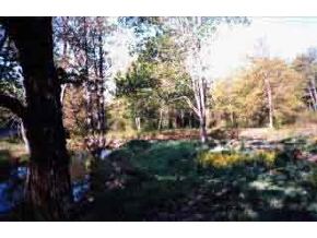 1483 Hollow Road Middleton, NH 03887 - Photo 1 of 3 Gallery Image 1