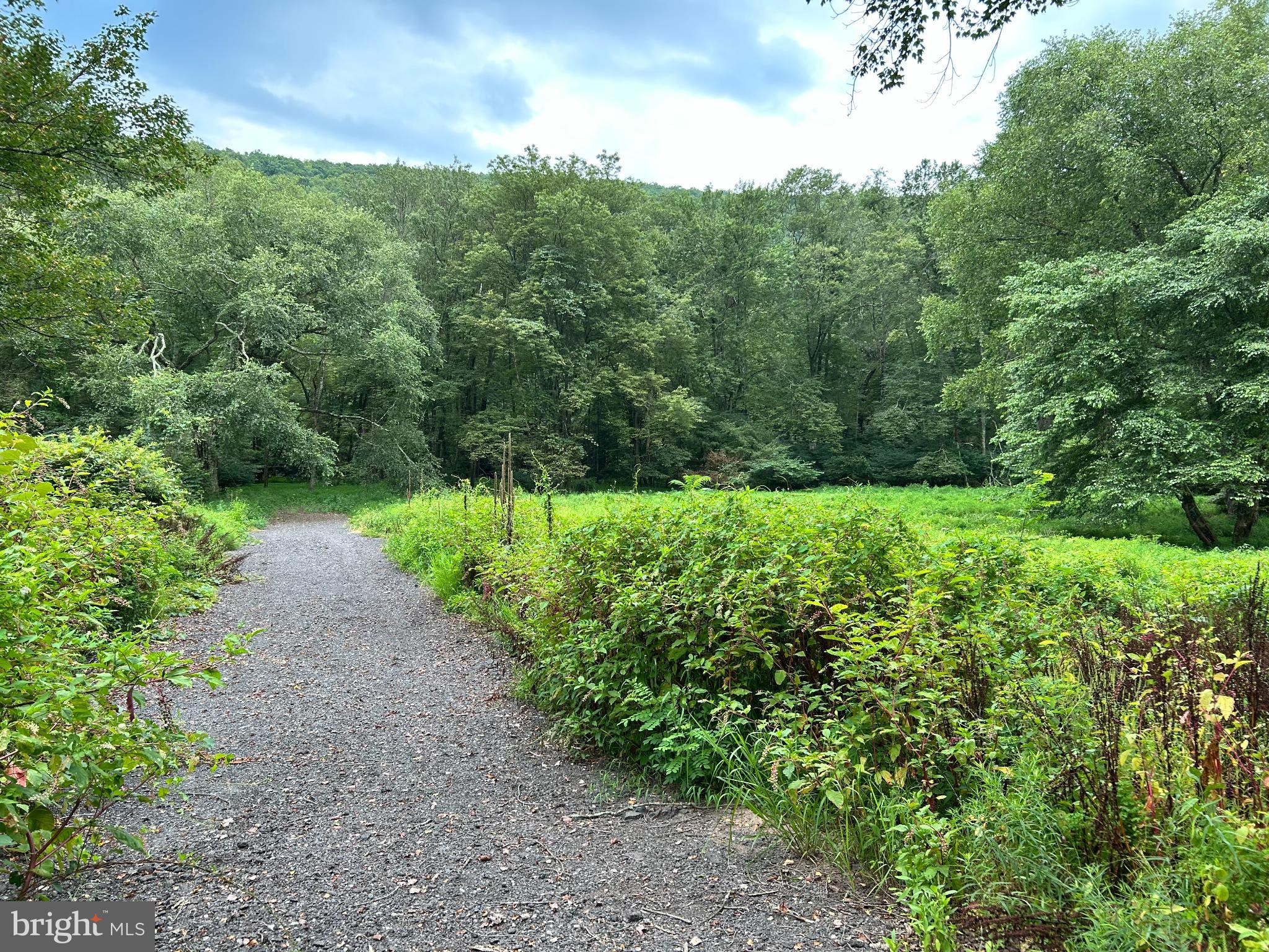 0 Creek Road Ashland, PA 17921 - Photo 1 of 4 a view of a garden with a pathway