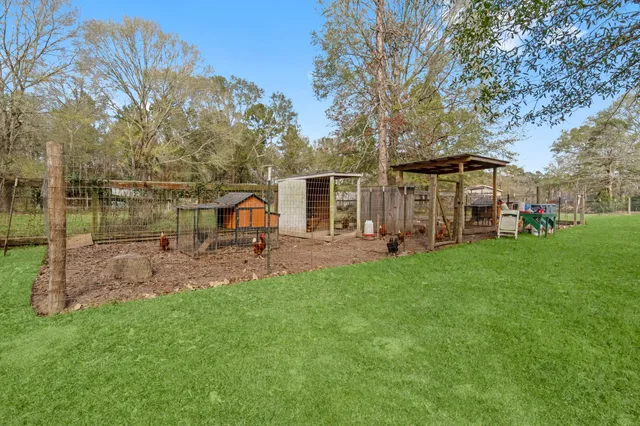 a view of a house with backyard and a tree
