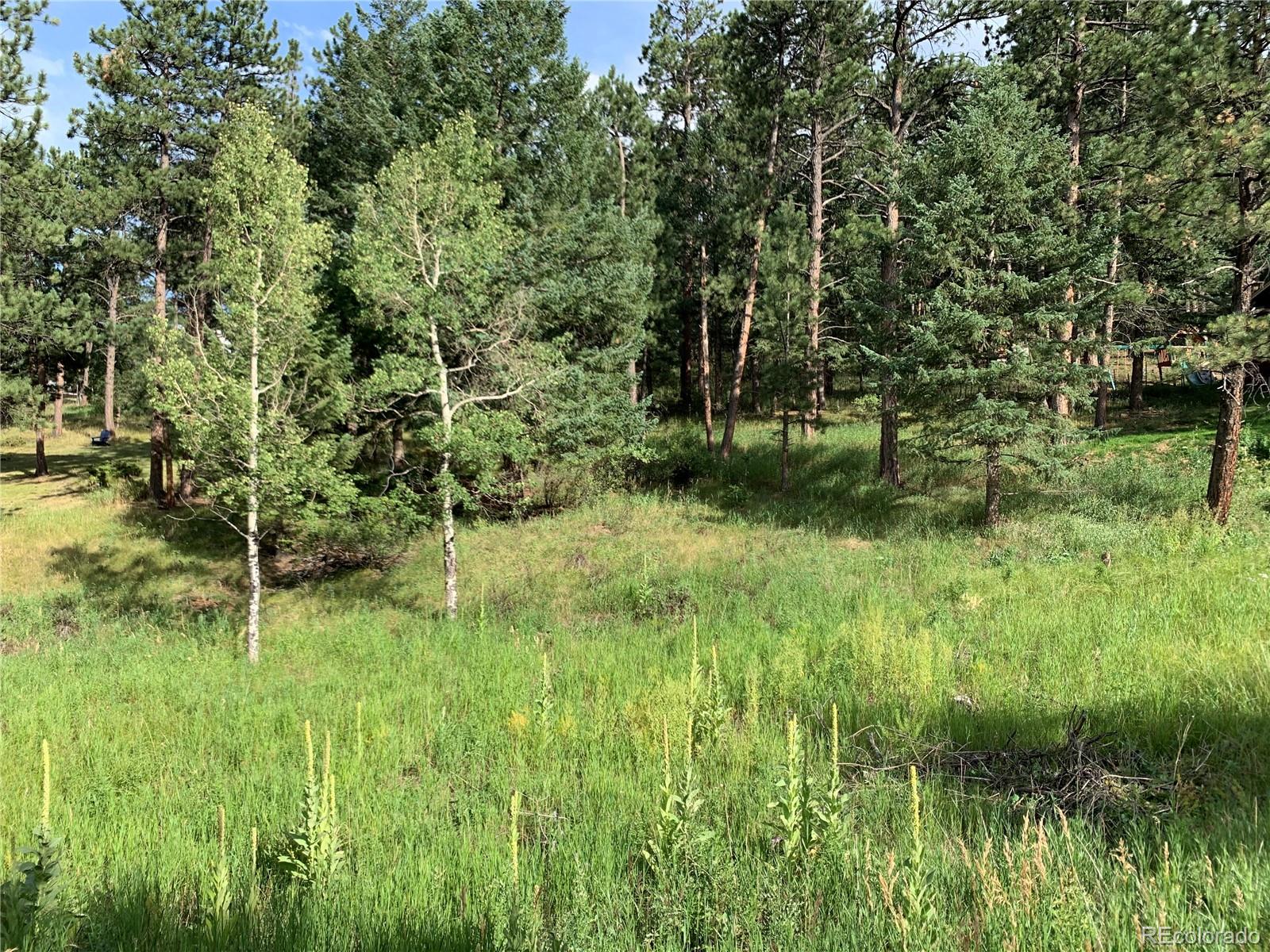 0 Cliff Road Evergreen, CO 80439 - Photo 3 of 8 Gallery Image 3