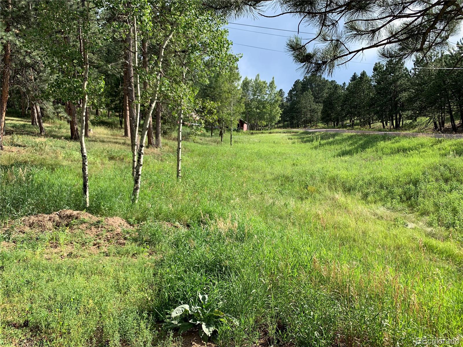 0 Cliff Road Evergreen, CO 80439 - Photo 6 of 8 Gallery Image 6