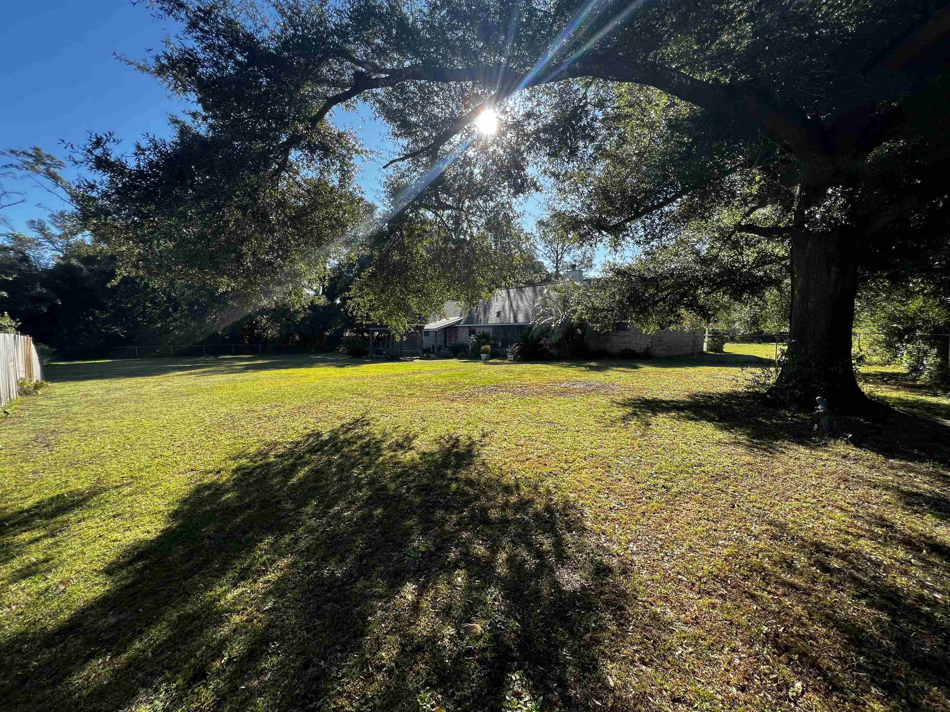 25203 East Olive Street Elberta, AL 36530 - Photo 2 of 16 Back Yard