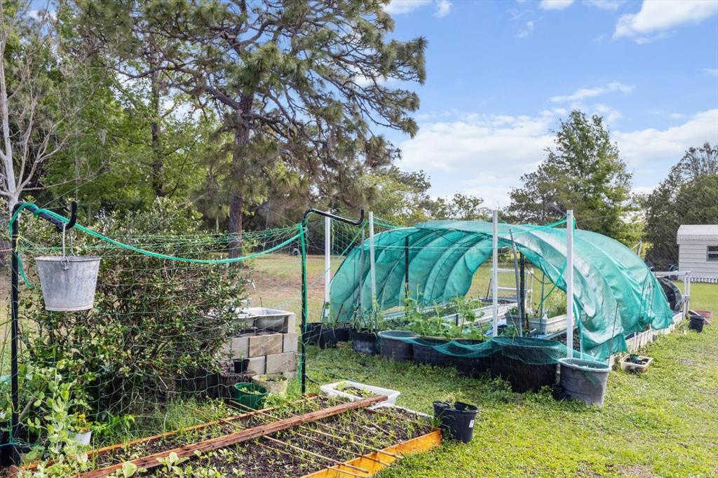 8921 Thoroughbred Point Inverness, FL 34452 - Photo 56 of 85