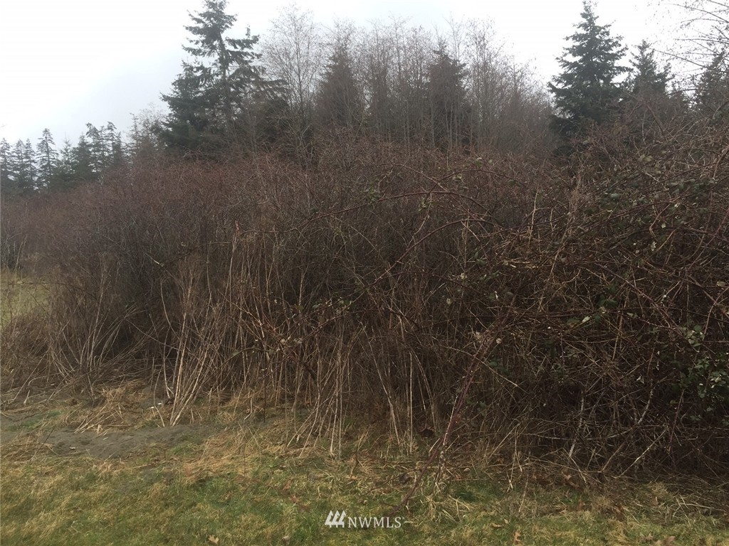 5902 Lancaster Road Freeland, WA 98249 - Photo 2 of 2