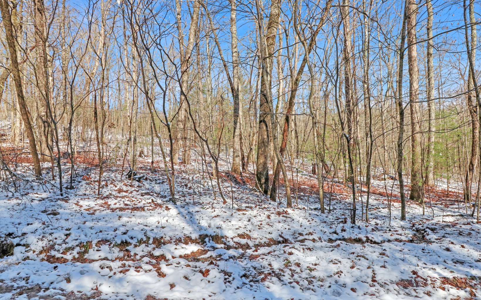 3 Raintree Bend Epworth, GA 30541 - Photo 3 of 4 Additional View
