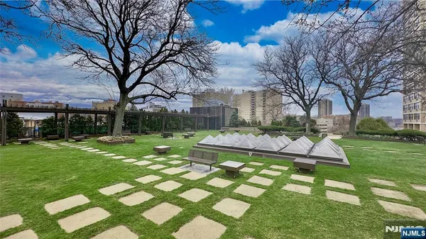 a view of a garden with plants