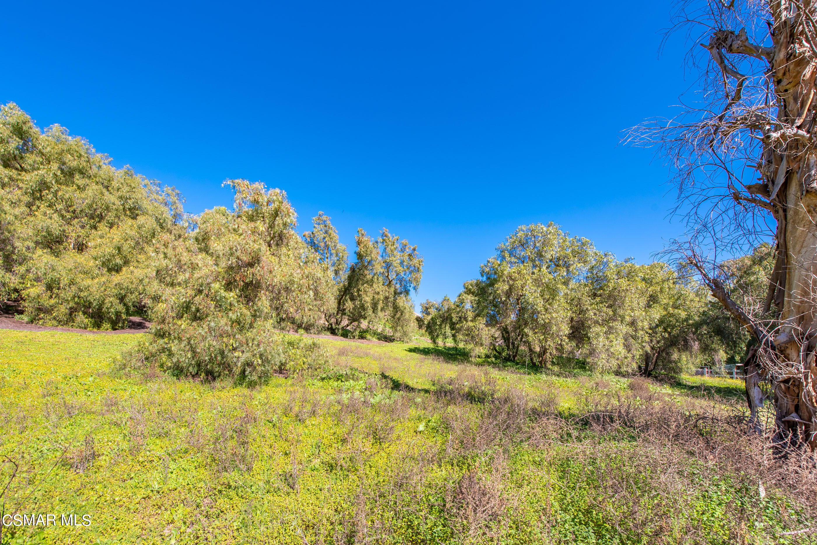 11975 Pradera Road Camarillo, CA 93012 - Photo 42 of 58 11975 Pradera Rd Santa Rosa Valley-42
