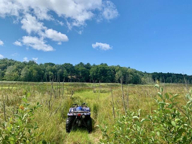 5925 West Jagger Road Ludington, MI 49431 - Photo 41 of 44 Marsh Path