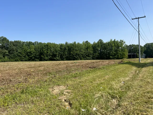 a view of an ocean from a yard