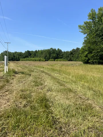 a view of an ocean from a yard