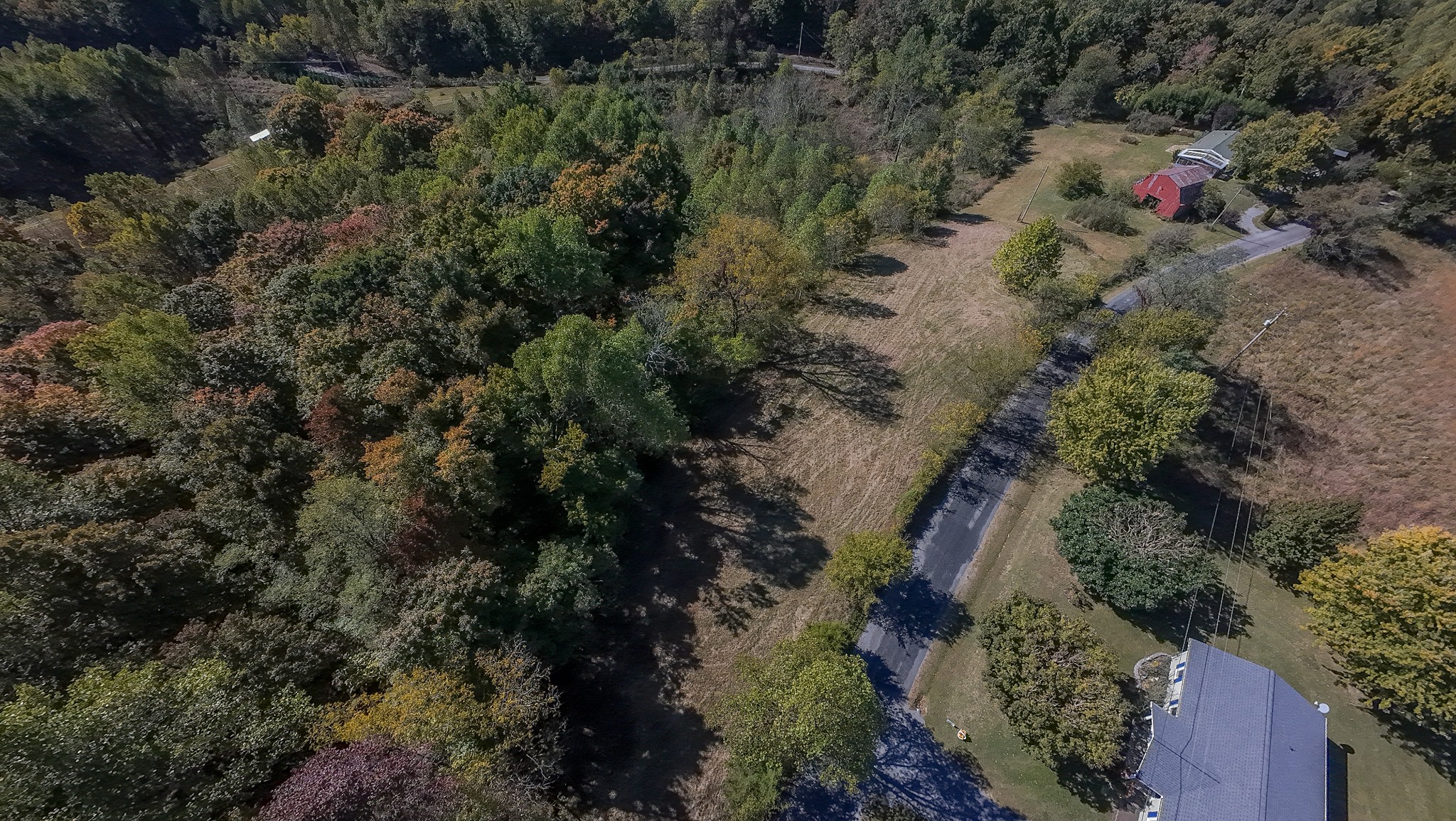 0 Sugar Tree Knob Road Liberty, TN 37095 - Photo 6 of 18 Gallery Image 6