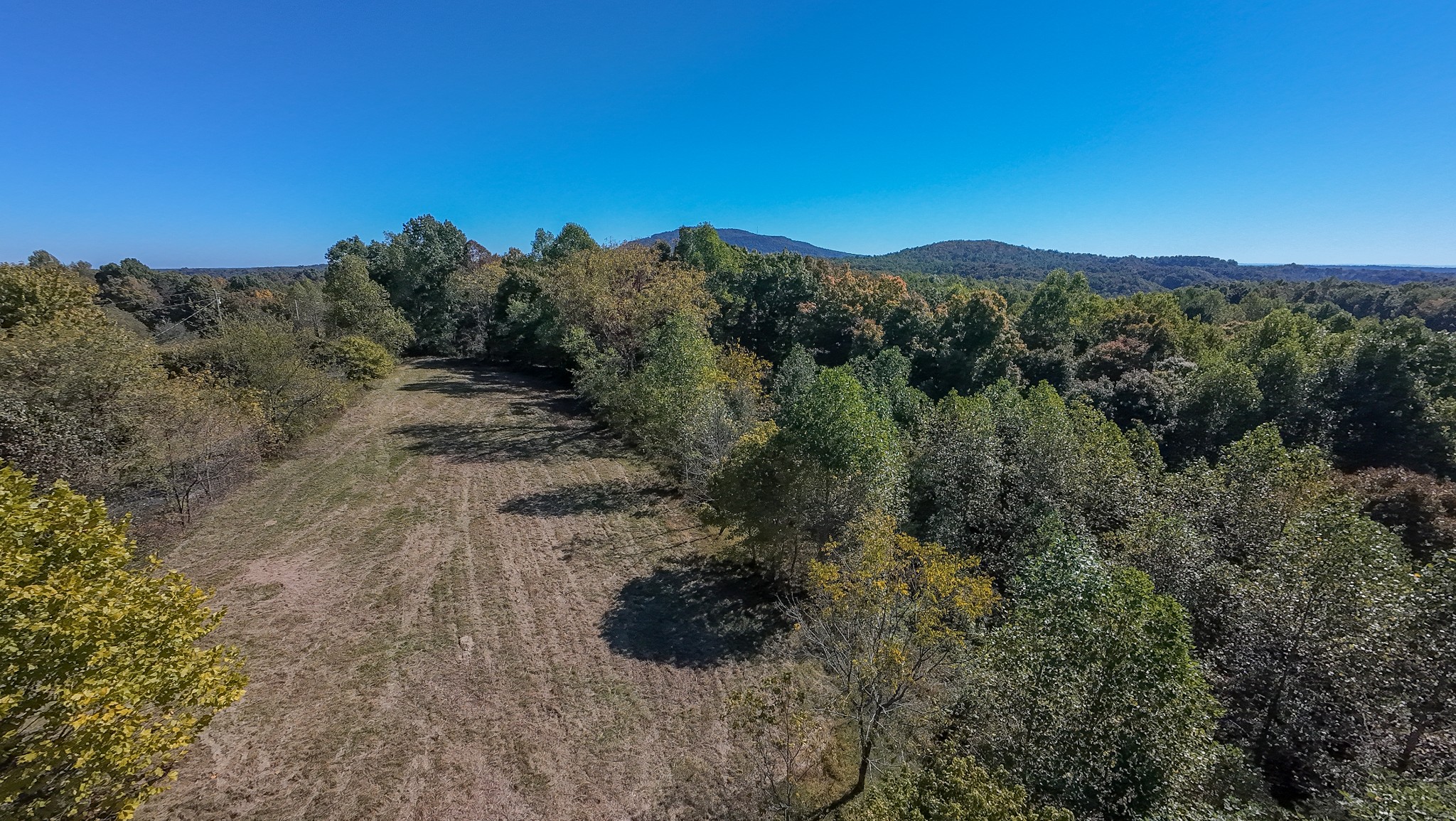 0 Sugar Tree Knob Road Liberty, TN 37095 - Photo 8 of 18 Gallery Image 8