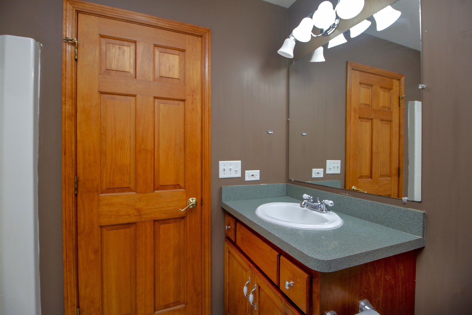 24721 South Scheer Road Monee, IL 60449 - Photo 32 of 50 a bathroom with a sink a mirror and a shower