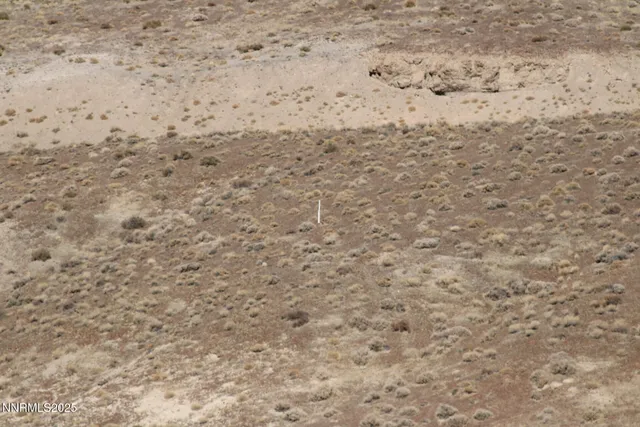 a view of a brick wall with floor to ceiling window
