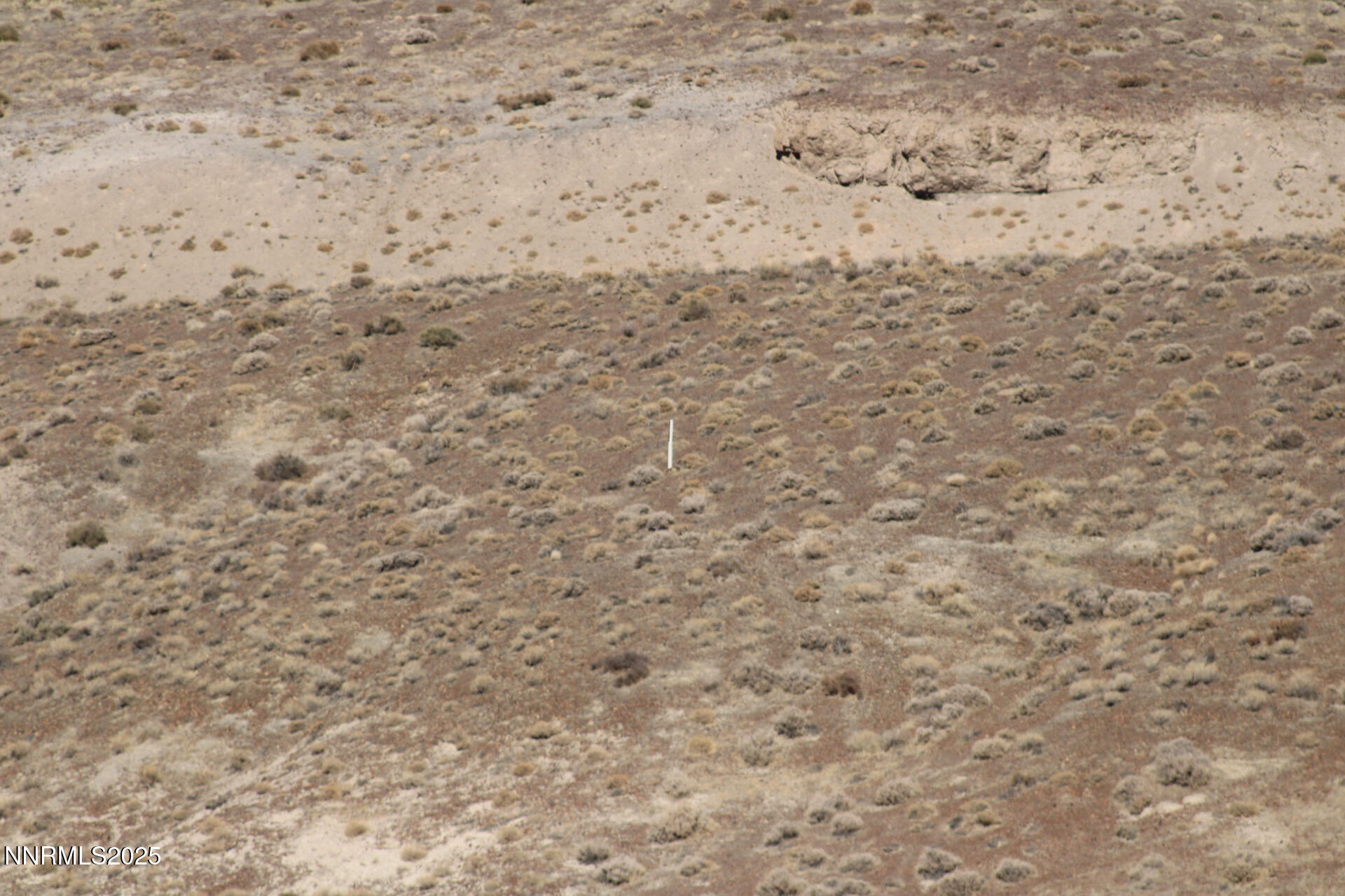 7785 Desert Shadows Lane Fernley, NV 89408 - Photo 6 of 21 a close up of a white marble wall