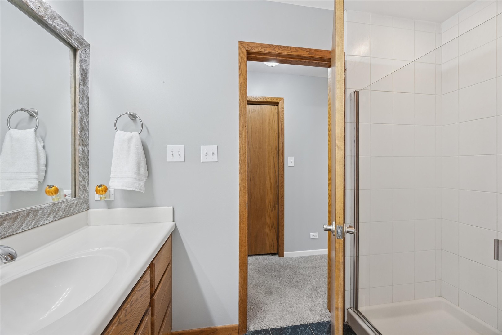 309 Clinton Avenue Elmhurst, IL 60126 - Photo 24 of 33 a bathroom with a sink and a mirror