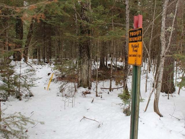 Three Old Military Road Three Lakes, WI 54562 - Photo 2 of 10 Gallery Image 2