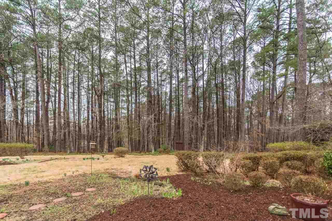 10405 Boxelder Drive Raleigh, NC 27613 - Photo 23 of 25 Visualize in 1 month has beautiful this will be when the grass greens and the leaves appear.
