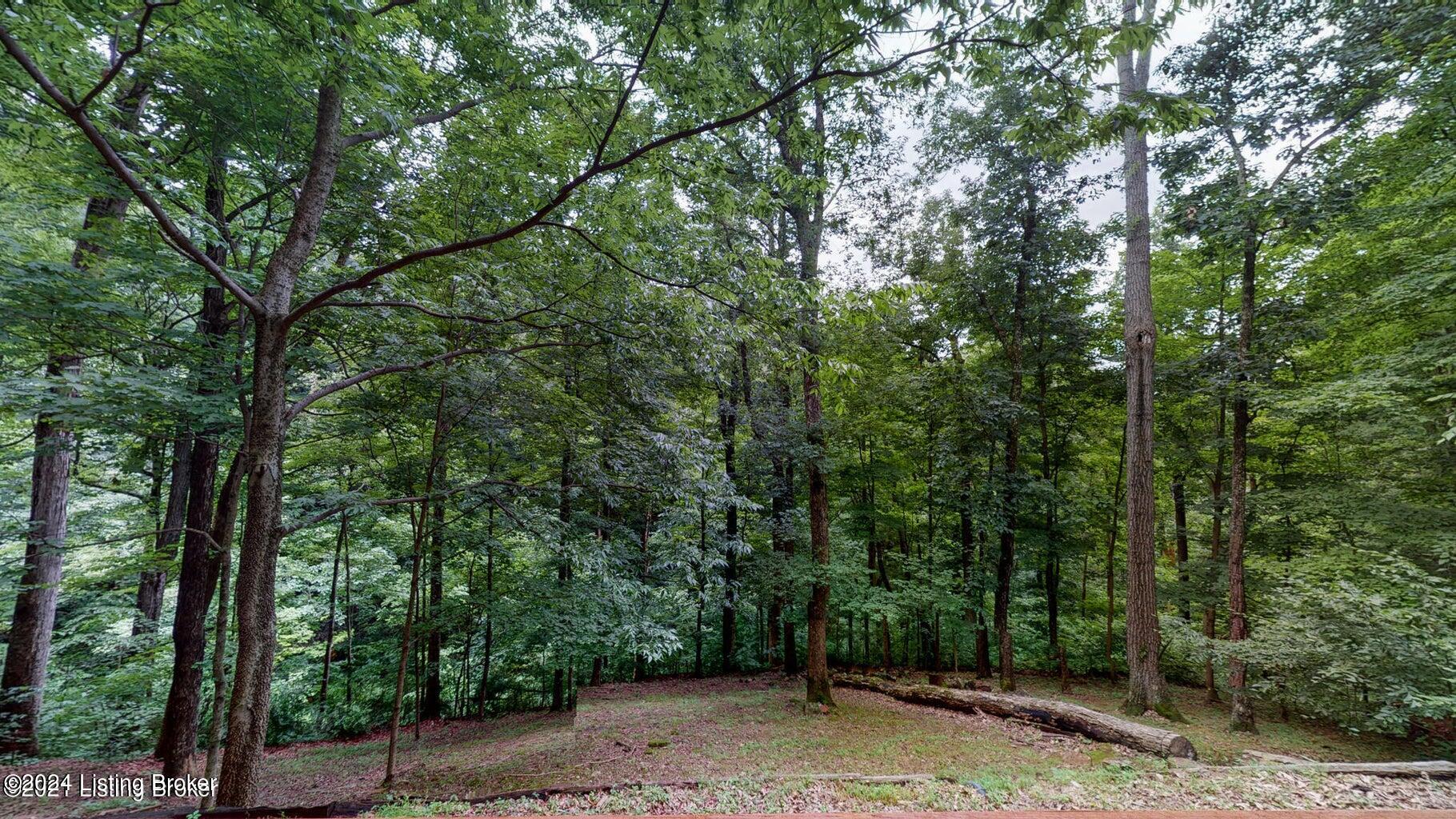 2833 Brooks Hill Road Brooks, KY 40109 - Photo 55 of 67 20210707173528285225000000-o