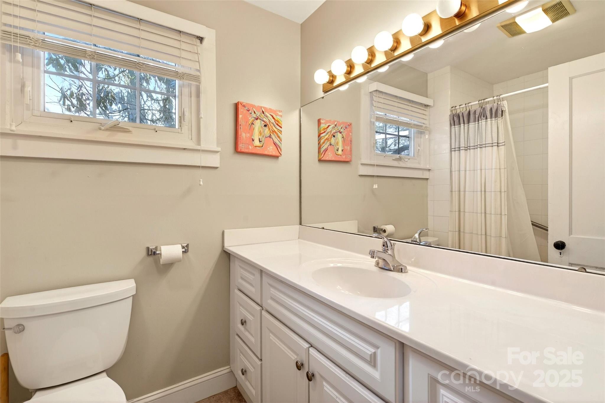 308 Texas Road Montreat, NC 28711 - Photo 23 of 48 a bathroom with a sink a mirror and a toilet