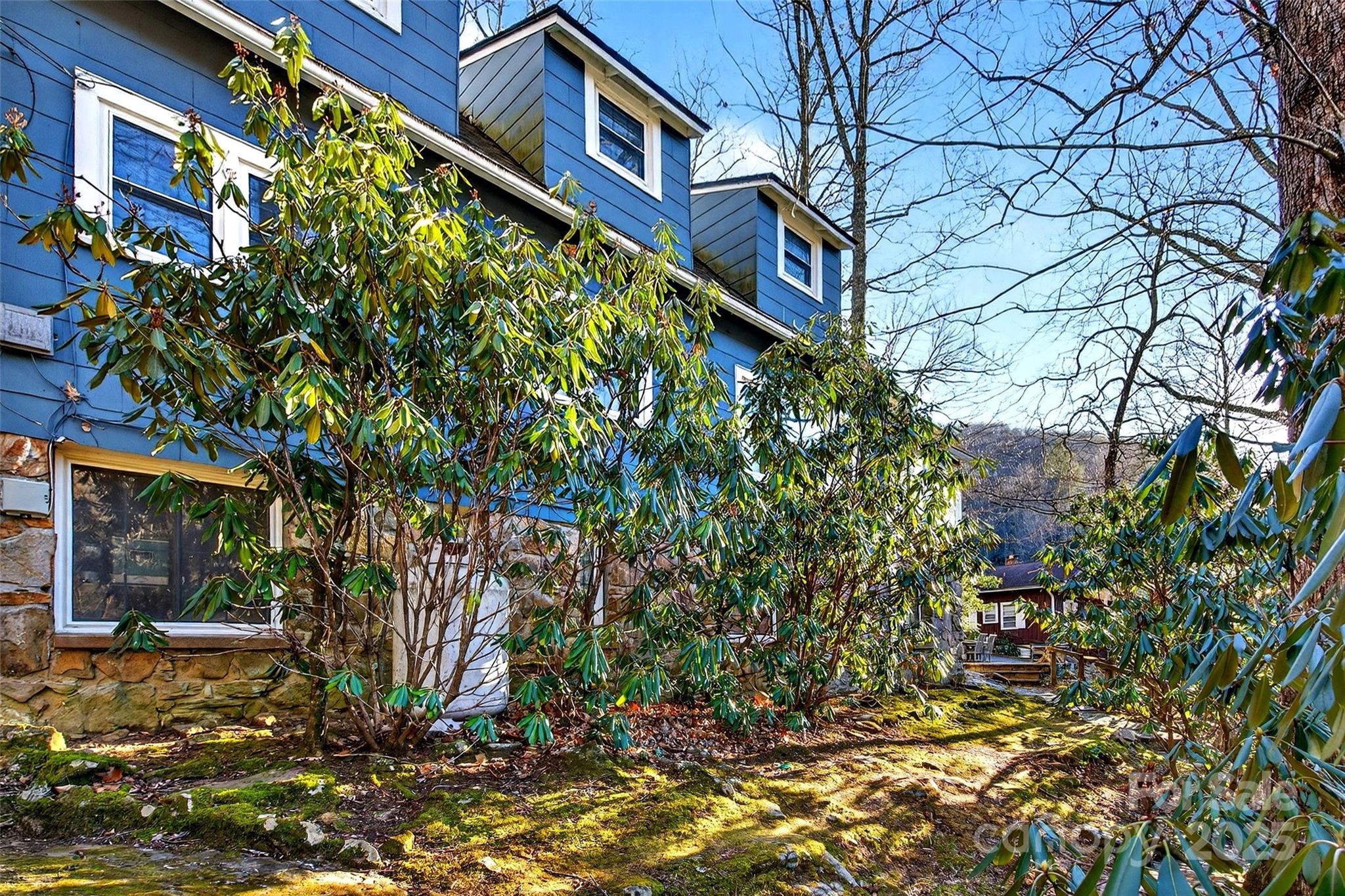 308 Texas Road Montreat, NC 28711 - Photo 4 of 48 a backyard of a house with lots of green space