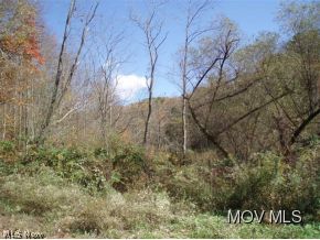 0 Brown Road Wallace, WV 26448 - Photo 2 of 6