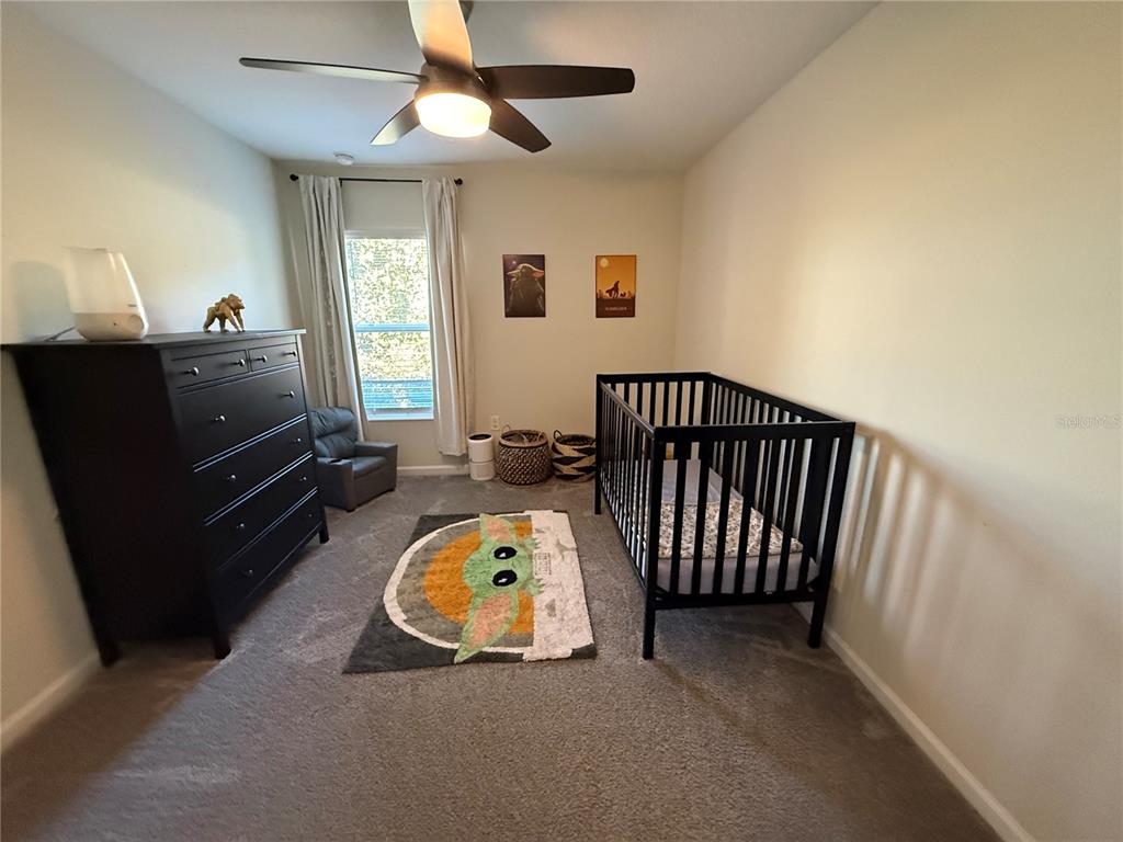 4773 Magnetite Loop Mount Dora, FL 32757 - Photo 13 of 23