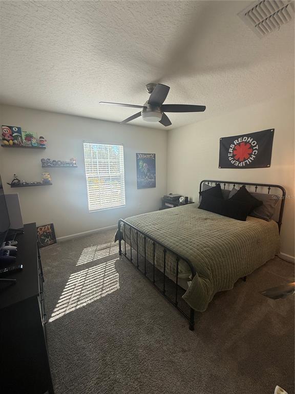 4773 Magnetite Loop Mount Dora, FL 32757 - Photo 14 of 23