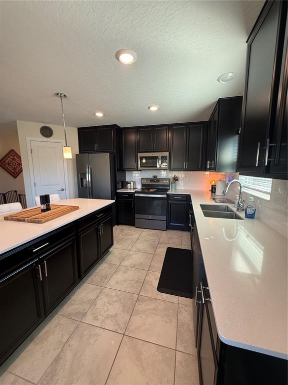 4773 Magnetite Loop Mount Dora, FL 32757 - Photo 4 of 23