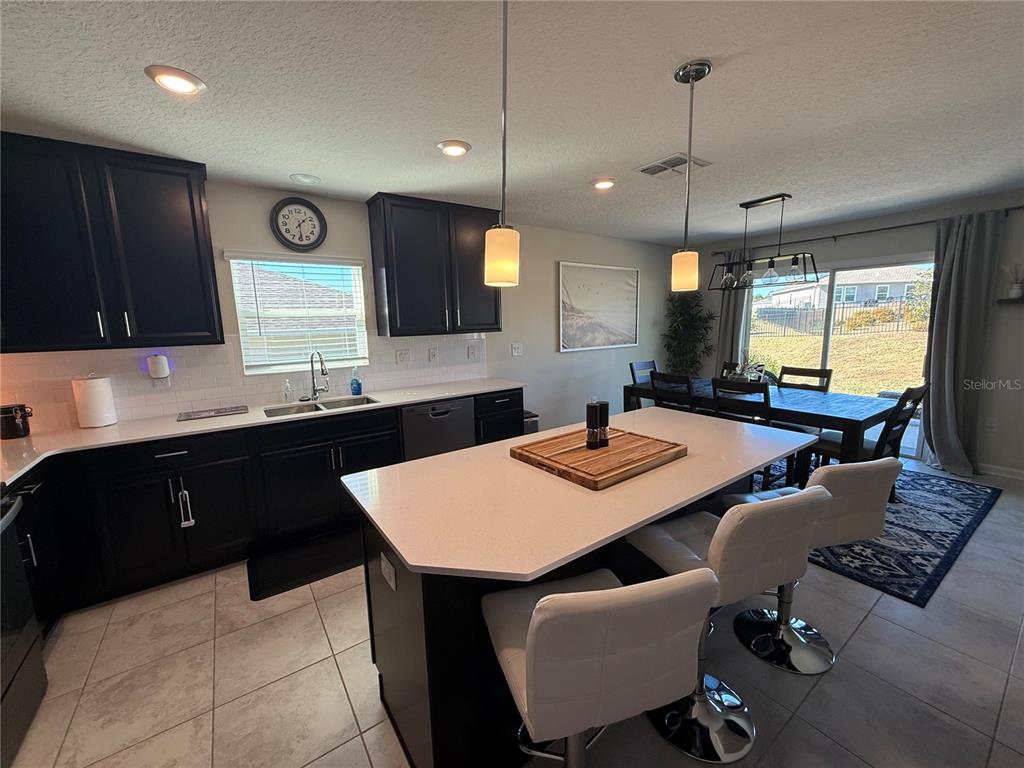 4773 Magnetite Loop Mount Dora, FL 32757 - Photo 5 of 23