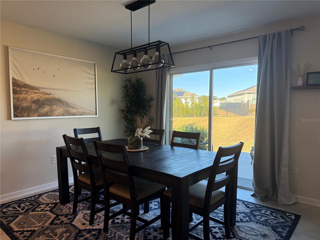 4773 Magnetite Loop Mount Dora, FL 32757 - Photo 7 of 23