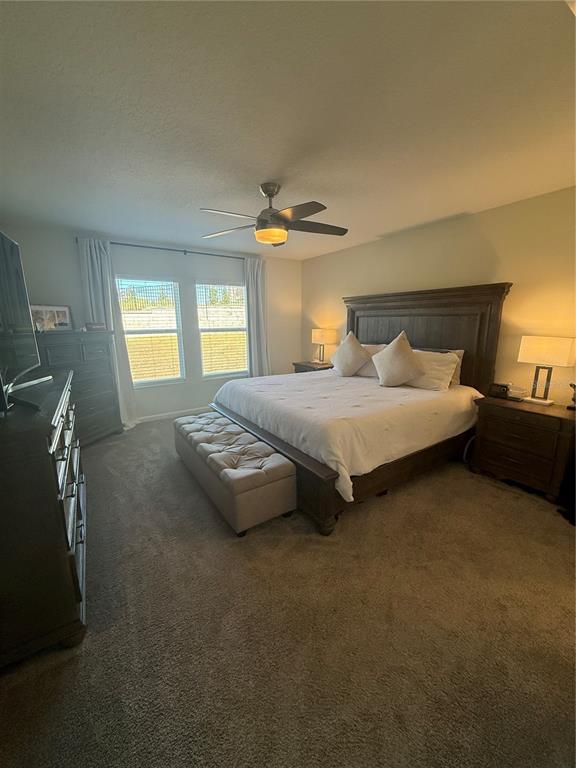 4773 Magnetite Loop Mount Dora, FL 32757 - Photo 9 of 23