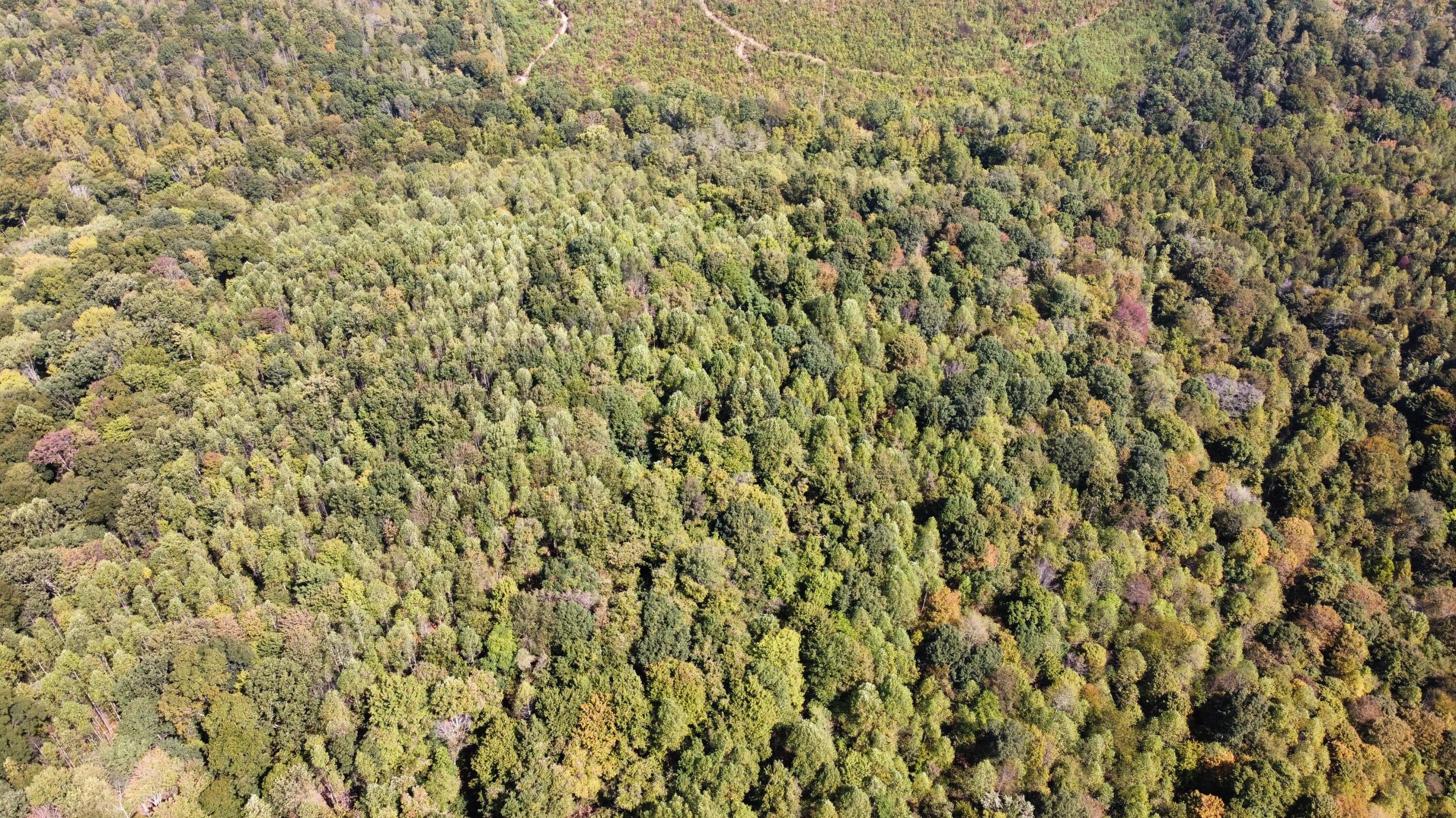 0 Beech Fork Road Peebles, OH 45660 - Photo 25 of 31 dji_export_1757780308519
