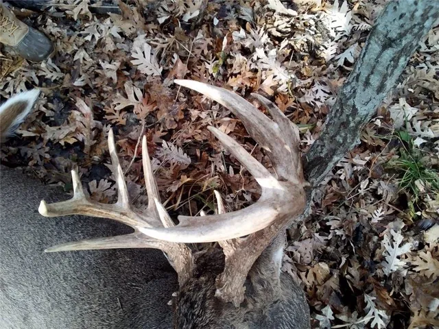 $586,500 | 327th Street, Albany, MO 64402