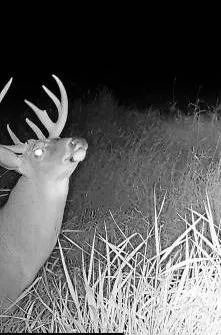 $586,500 | 327th Street, Albany, MO 64402