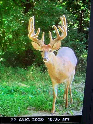 $586,500 | 327th Street, Albany, MO 64402