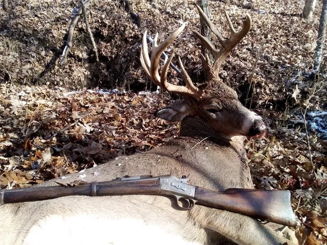 $586,500 | 327th Street, Albany, MO 64402