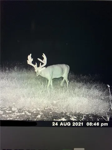 $586,500 | 327th Street, Albany, MO 64402