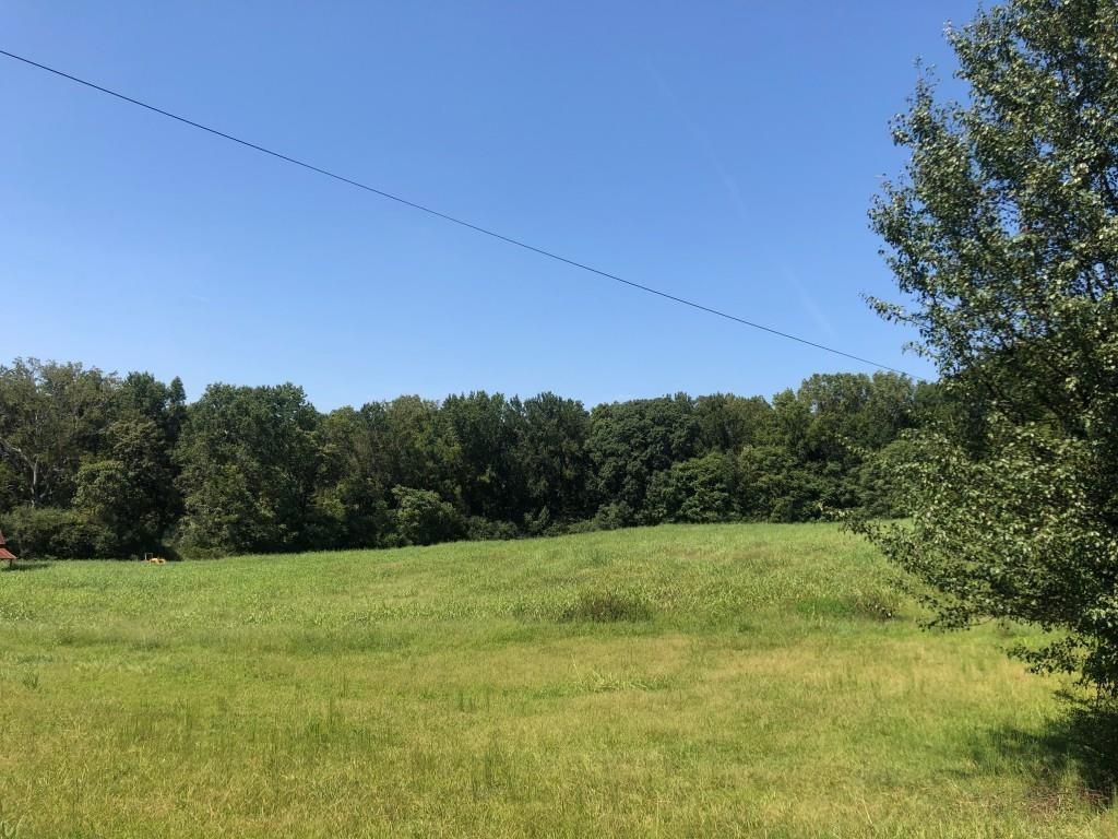 517 Kelly Mill Road Cumming, GA 30040 - Photo 2 of 7