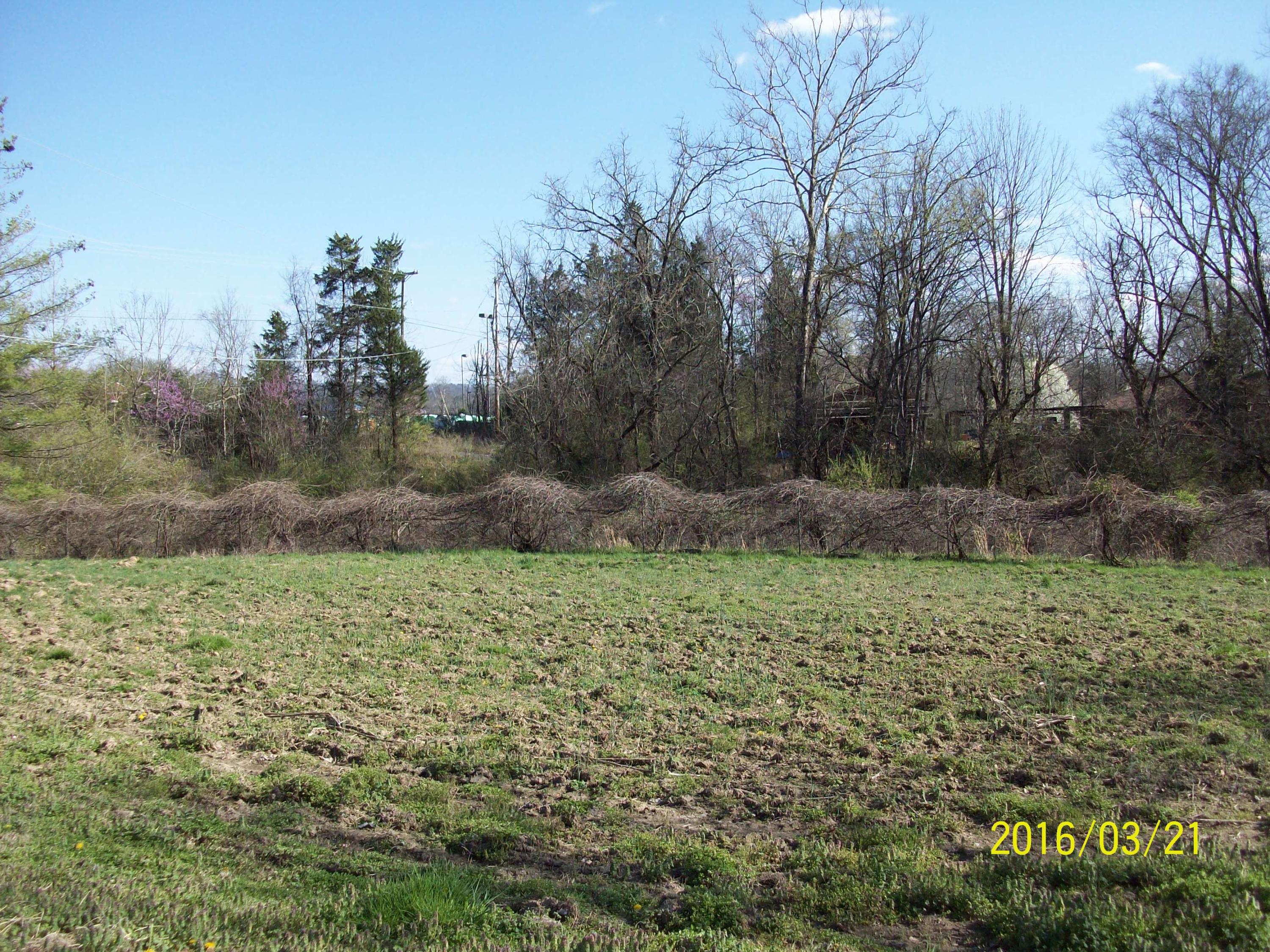217 Green Road Knoxville, TN 37920 - Photo 6 of 20 GARDEN AREA