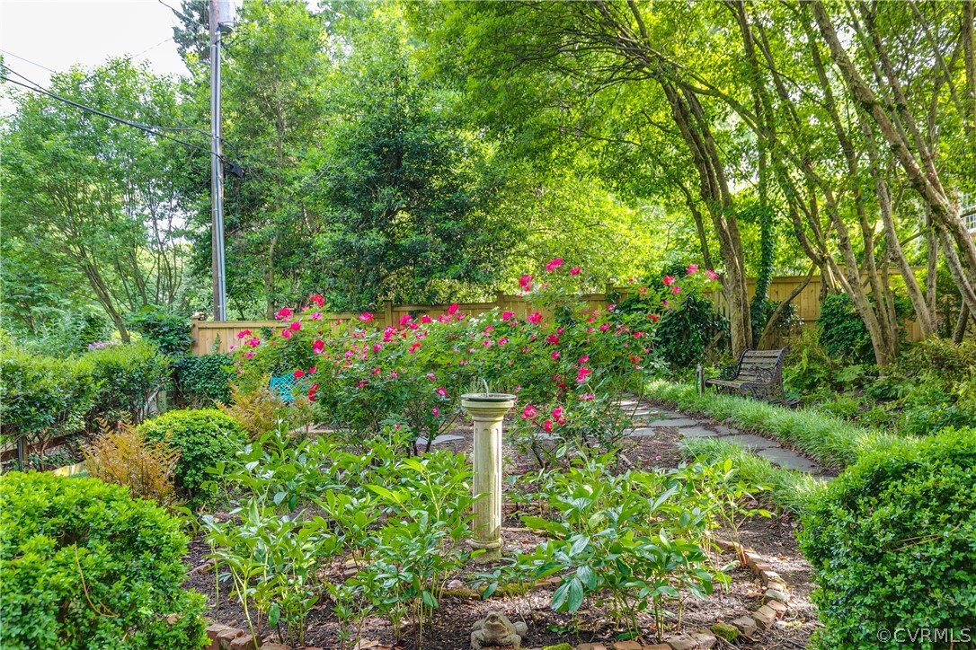 207 Nottingham Road Richmond, VA 23221 - Photo 44 of 49 a view of a flower in a garden