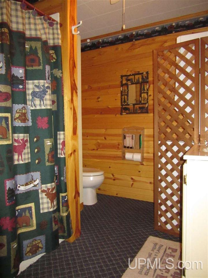 8834 Boot Lake Road Manistique, MI 49854 - Photo 22 of 26 Gallery Image 22