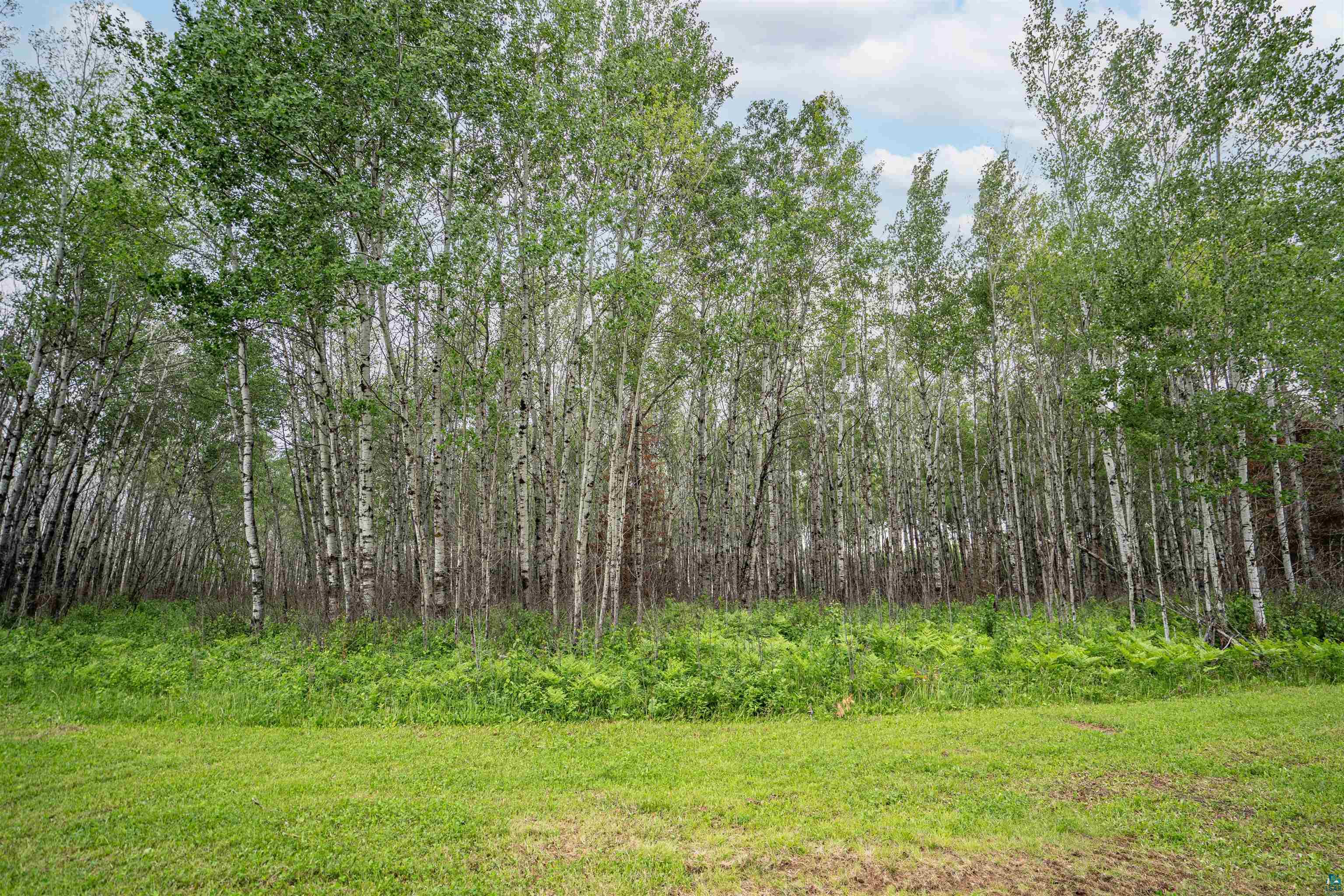 1249 Gabbro Road Brimson, MN 55602 - Photo 13 of 22