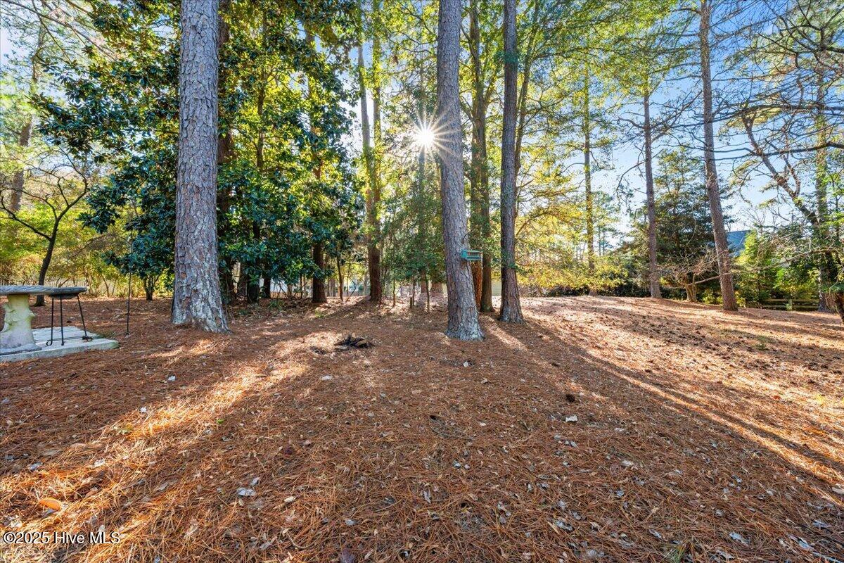215 Merion Circle Pinehurst, NC 28374 - Photo 23 of 28
