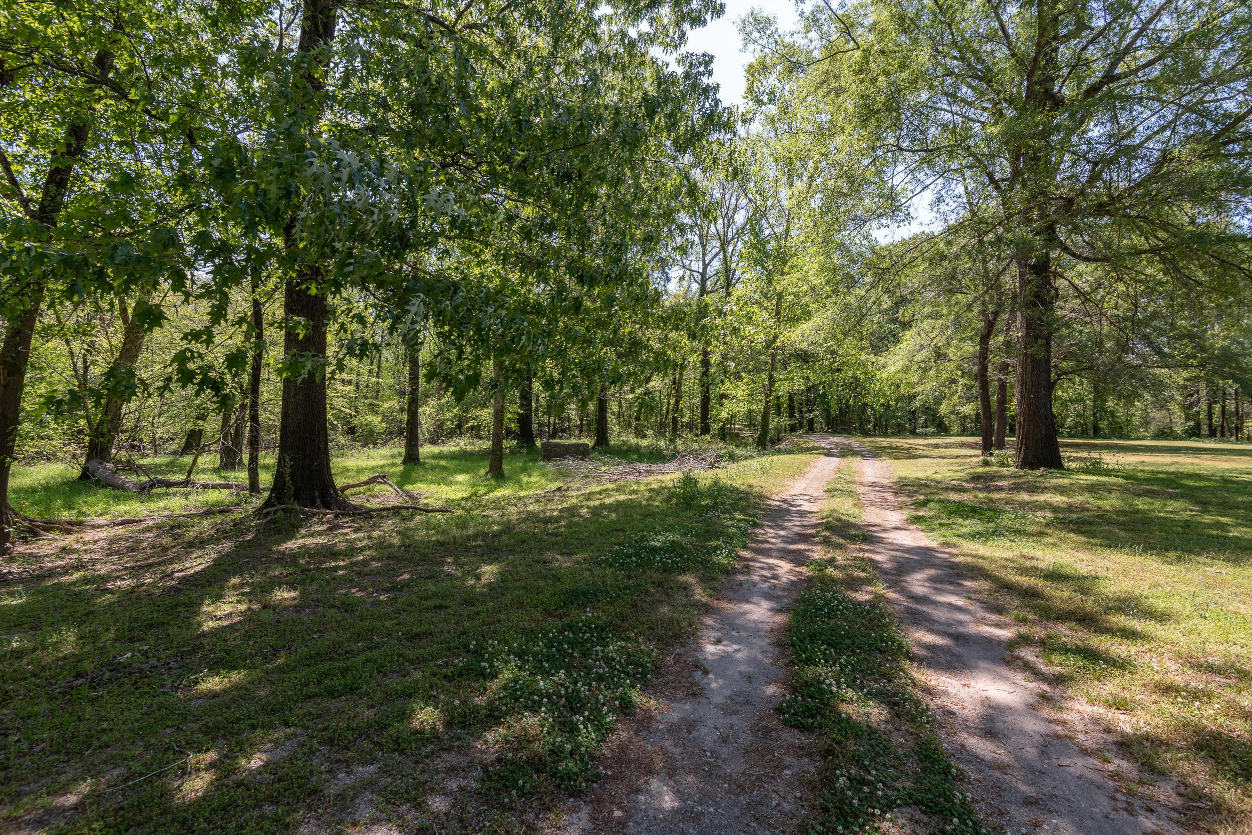 1700 Jones Smith Road Kinston, NC 28501 - Photo 4 of 66 1700_Jones_Smith-7