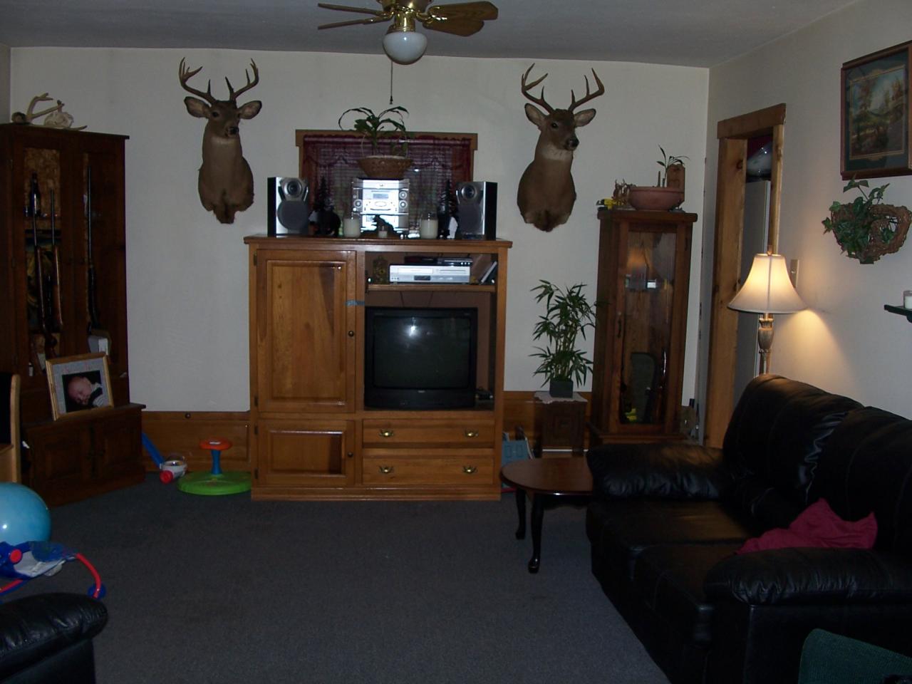 37 Vaughn Road Frankford, WV 24938 - Photo 6 of 21 Large spacous room