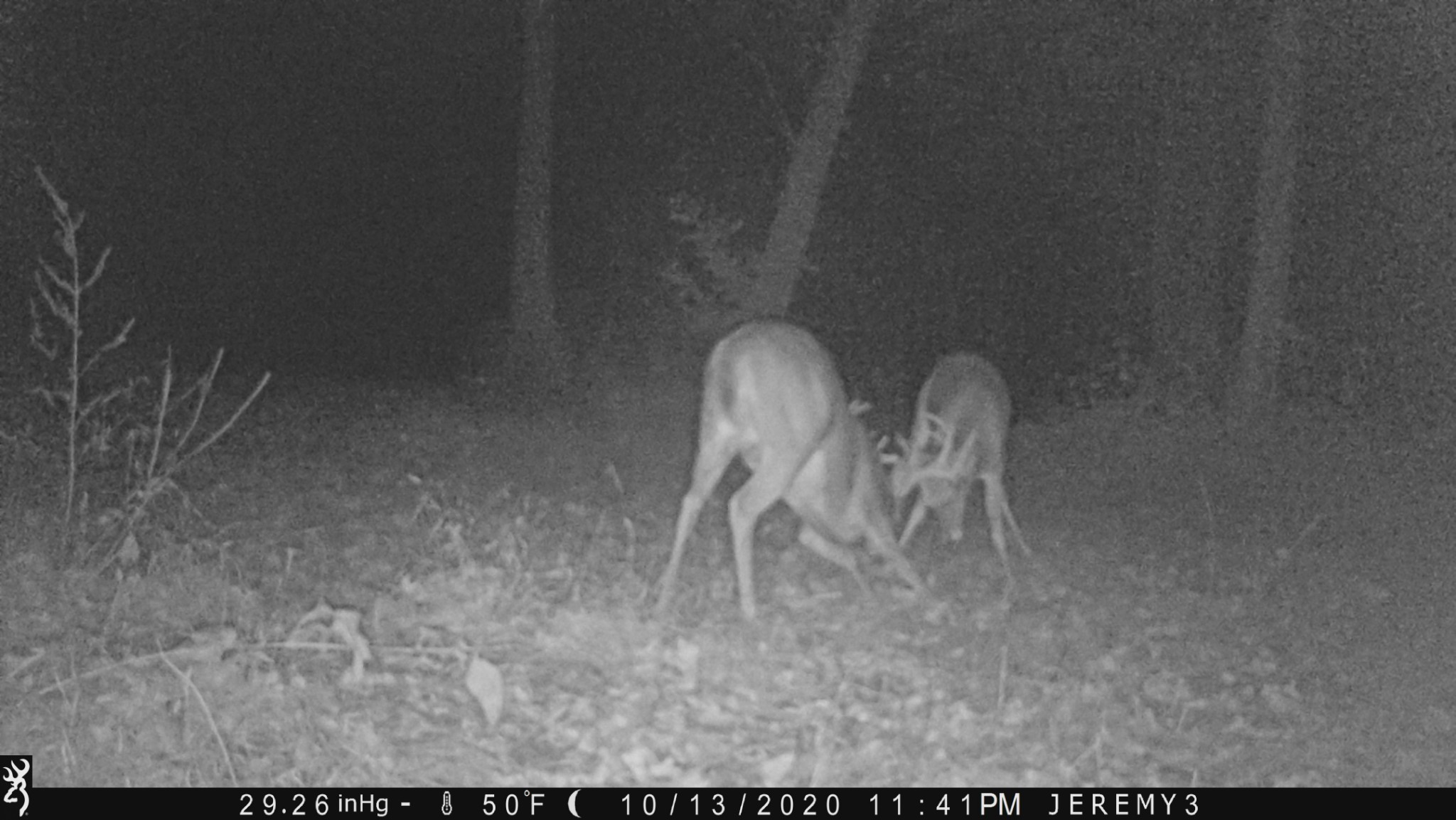 4468 Old Leipers Creek Road Columbia, TN 38401 - Photo 14 of 18 Gallery Image 14