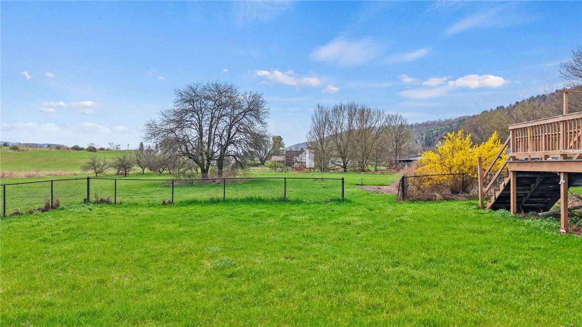 575 Ithaca Road Spencer, NY 14883 - Photo 37 of 46 side yard