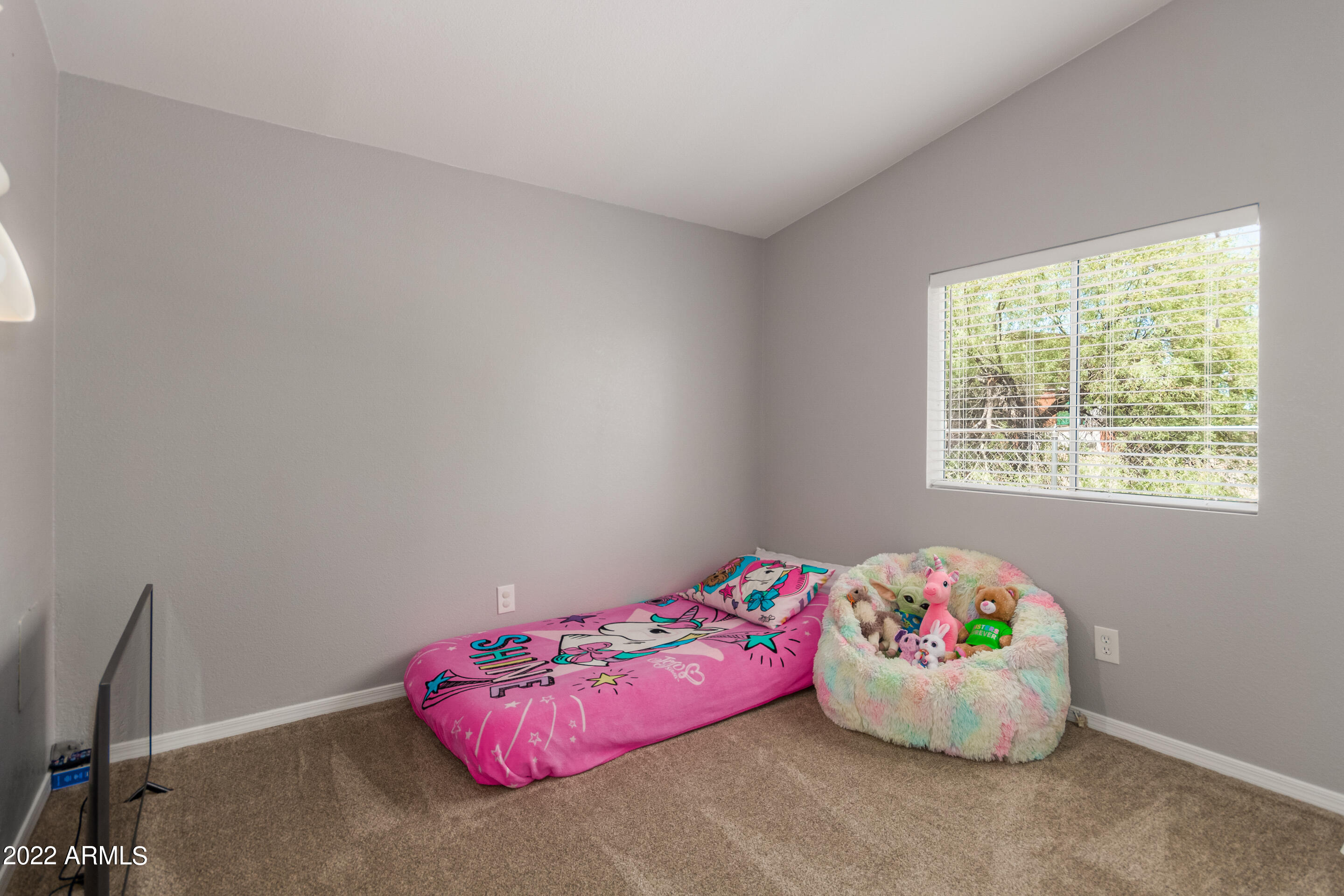296 South Cactus Road Apache Junction, AZ 85119 - Photo 25 of 38 25 - Cactus